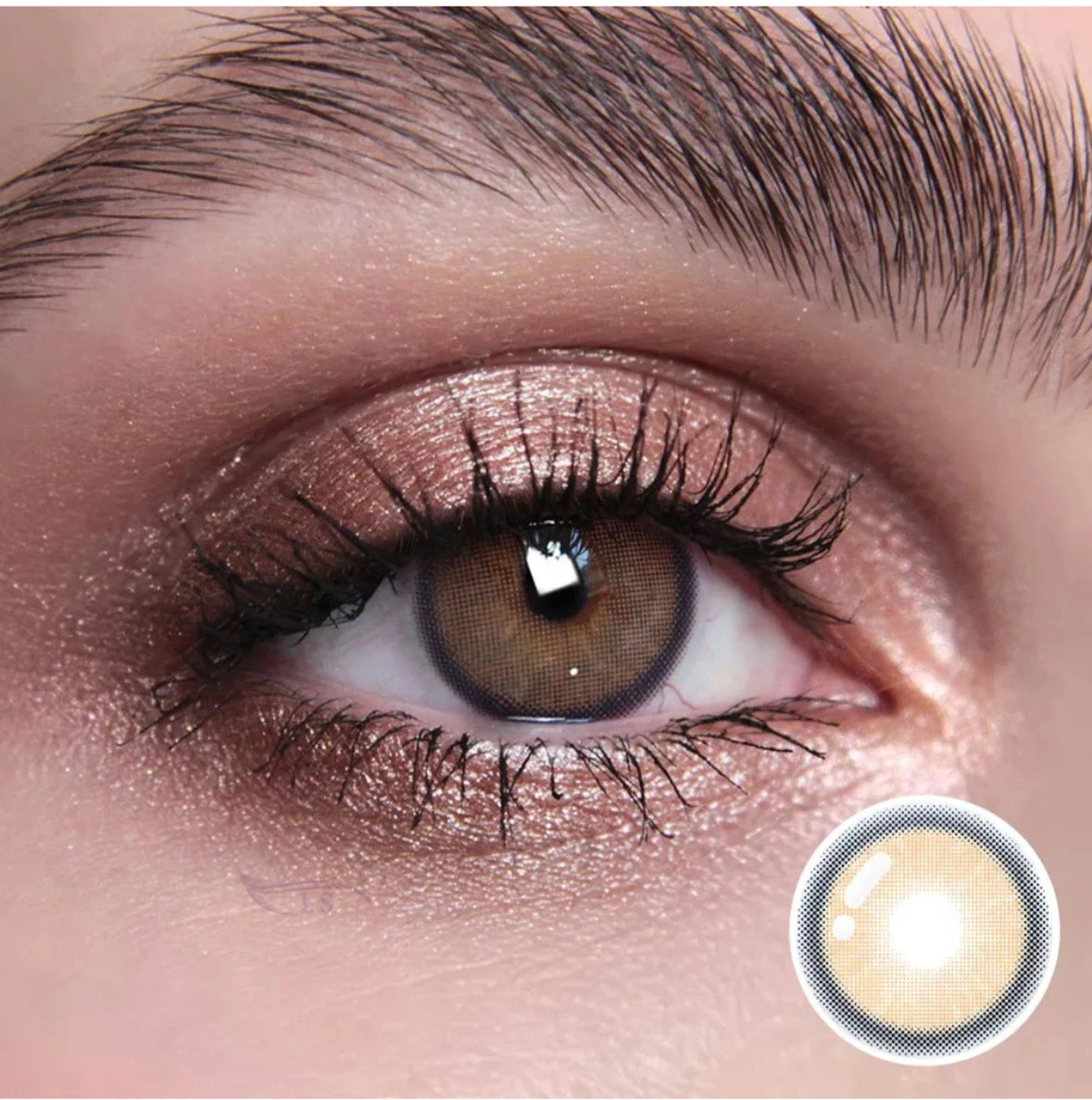 Crystal Brown